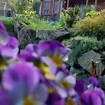Apartamenty W Dolinie Goscina Apartment