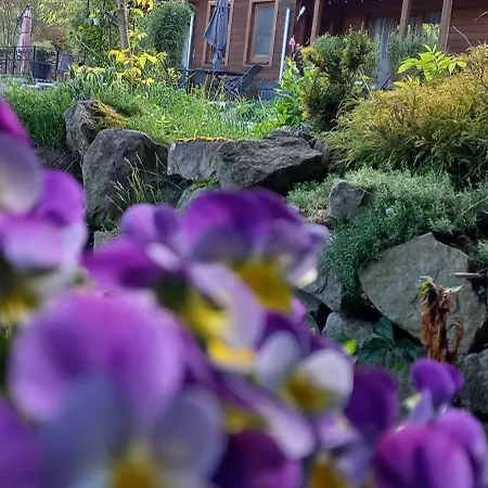 Apartamenty W Dolinie Goscina Apartment