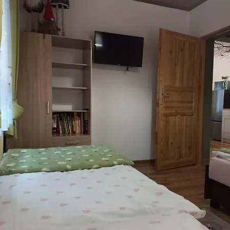Apartamenty W Dolinie Goscina Apartment *
