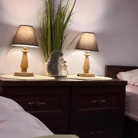 Apartment Apartamenty W Dolinie Goscina *