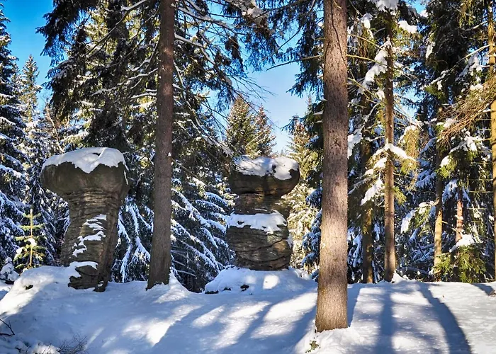 W Dolinie Goscina Appartement *