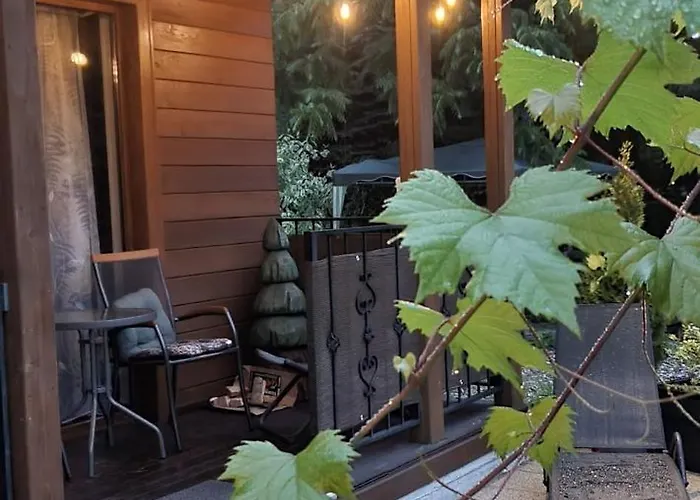 Apartment Apartamenty W Dolinie Goscina