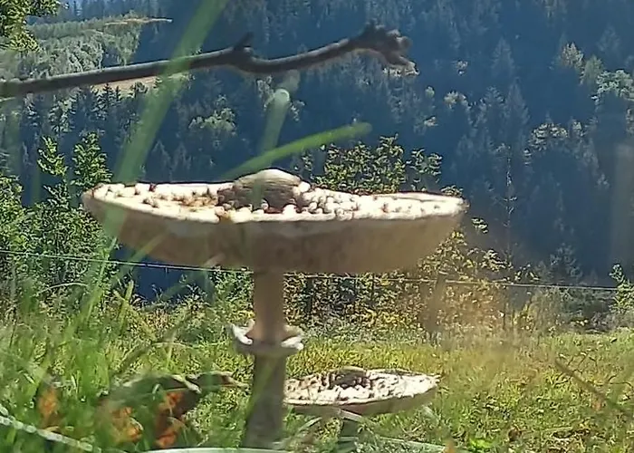 Apartamenty W Dolinie Goscina