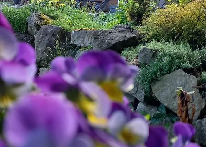 Apartamenty W Dolinie Goscina Apartment