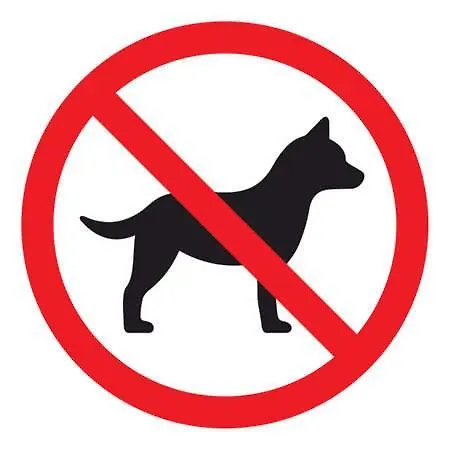 Apartamenty W Dolinie Goscina Apartment