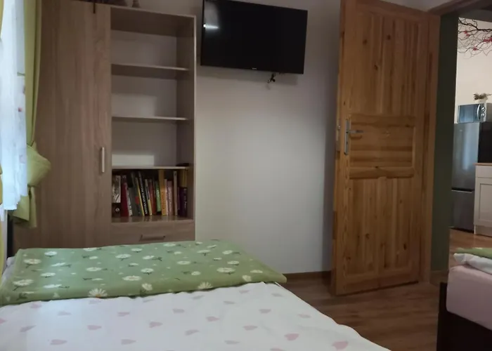 Apartamenty W Dolinie Goscina Apartment *