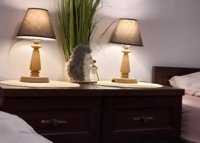 Apartment Apartamenty W Dolinie Goscina *