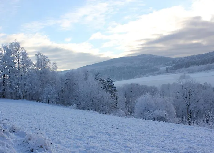 Apartamenty W Dolinie Goscina Apartment *